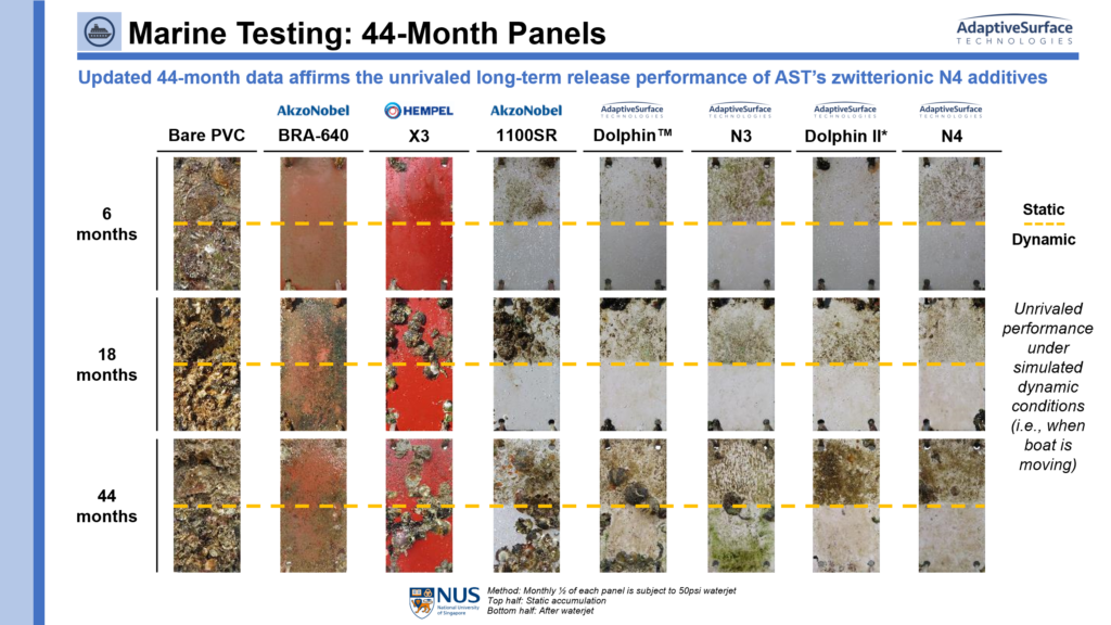 AST Marine Coatings Lead the Pack